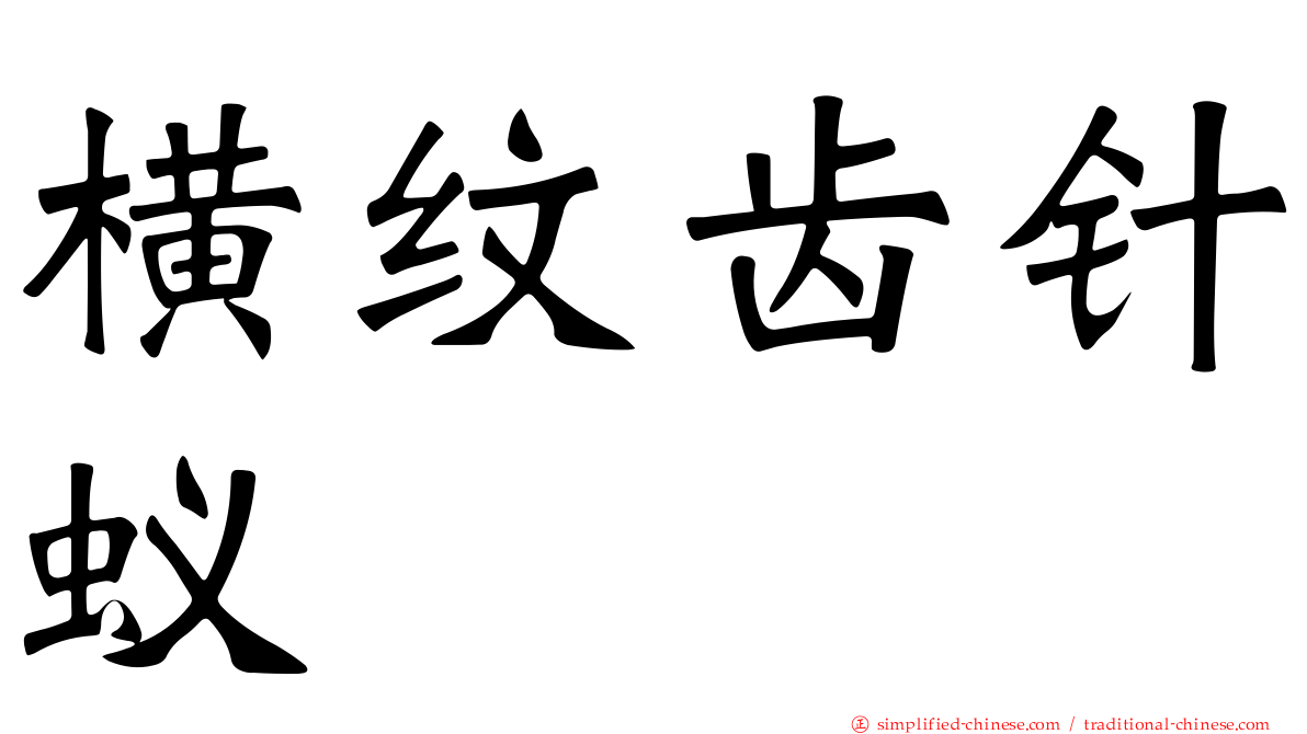 横纹齿针蚁