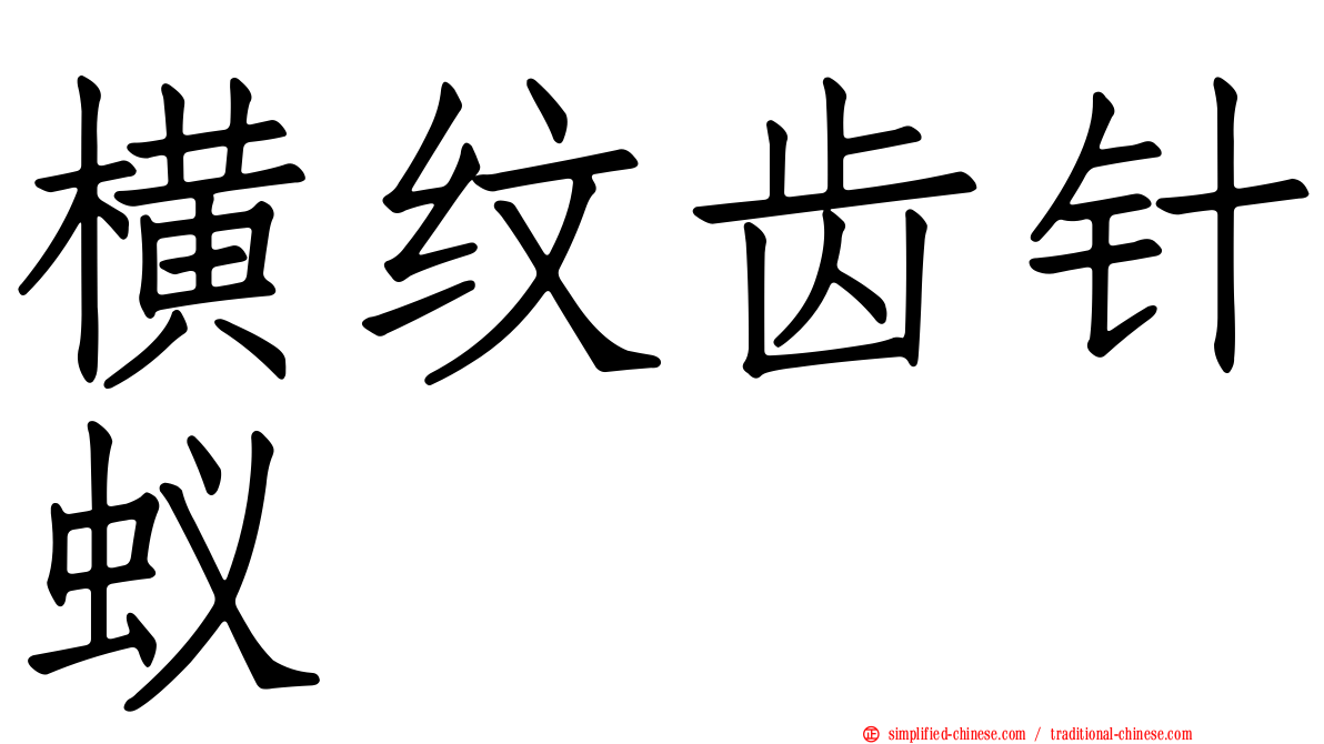 横纹齿针蚁