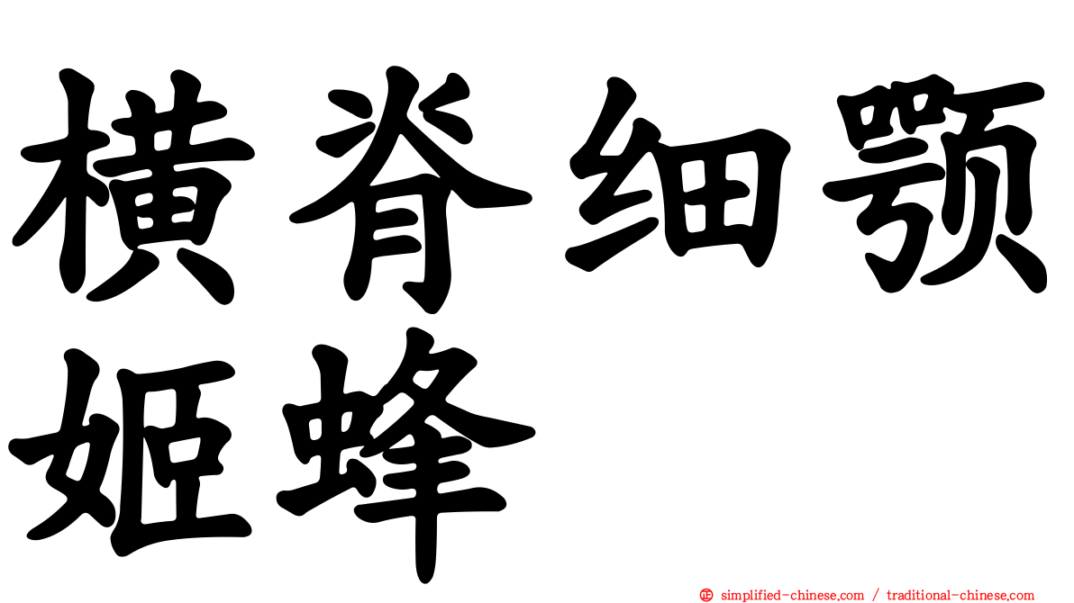 横脊细颚姬蜂
