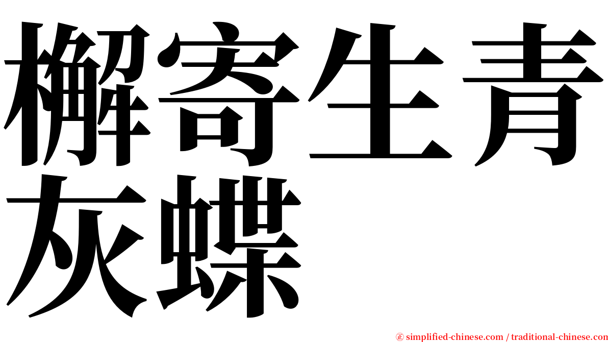檞寄生青灰蝶 serif font