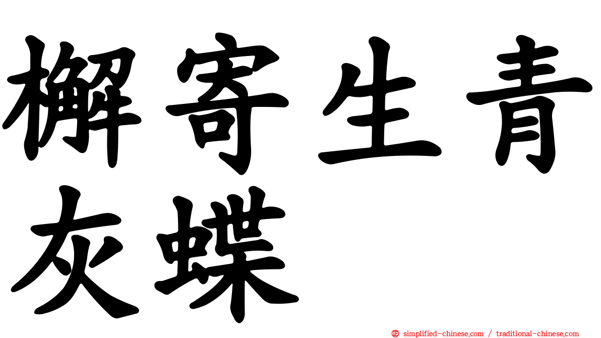 檞寄生青灰蝶