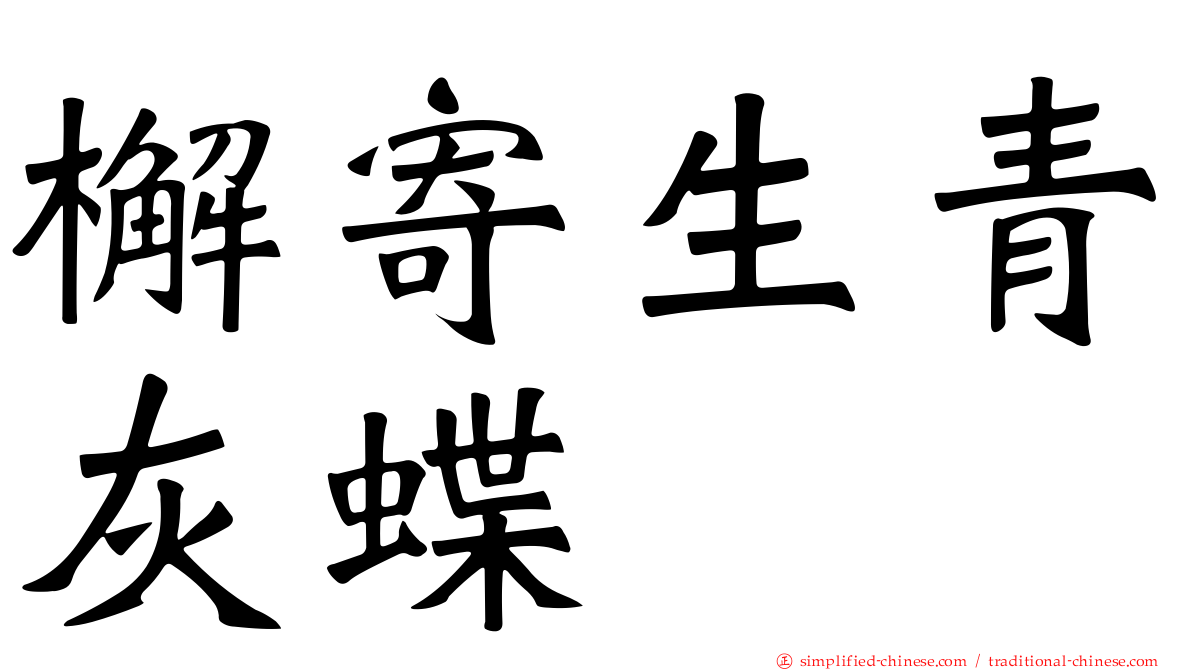 檞寄生青灰蝶