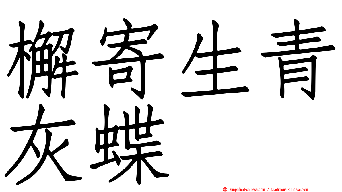 檞寄生青灰蝶