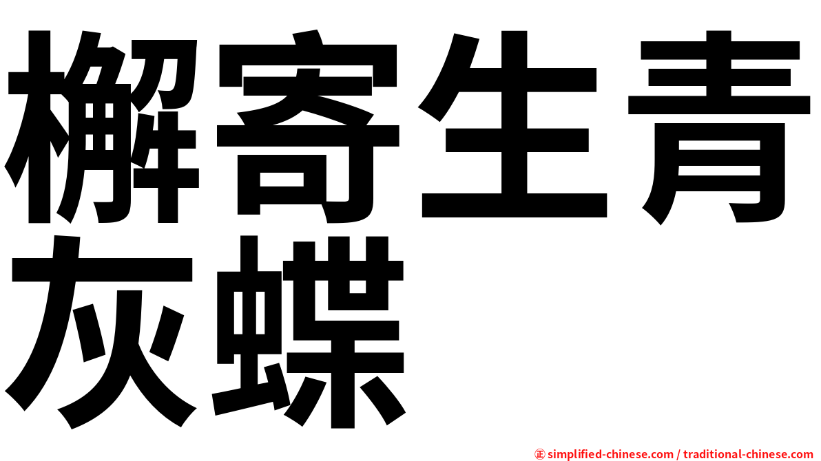 檞寄生青灰蝶