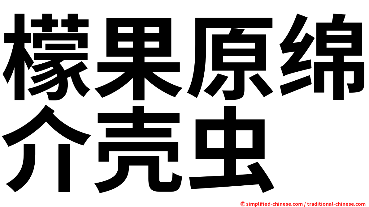 檬果原绵介壳虫