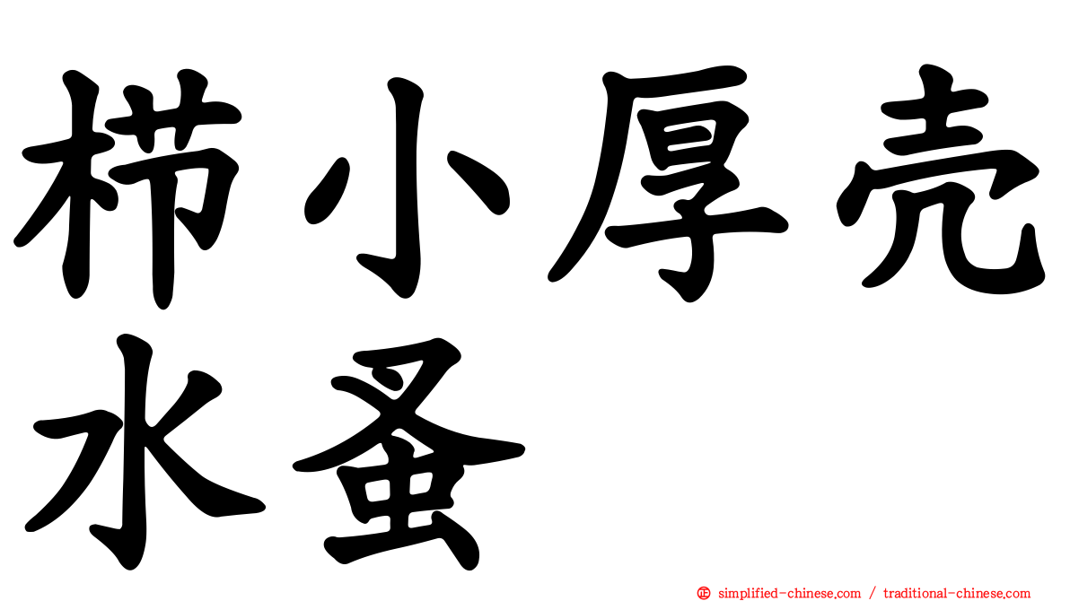 栉小厚壳水蚤