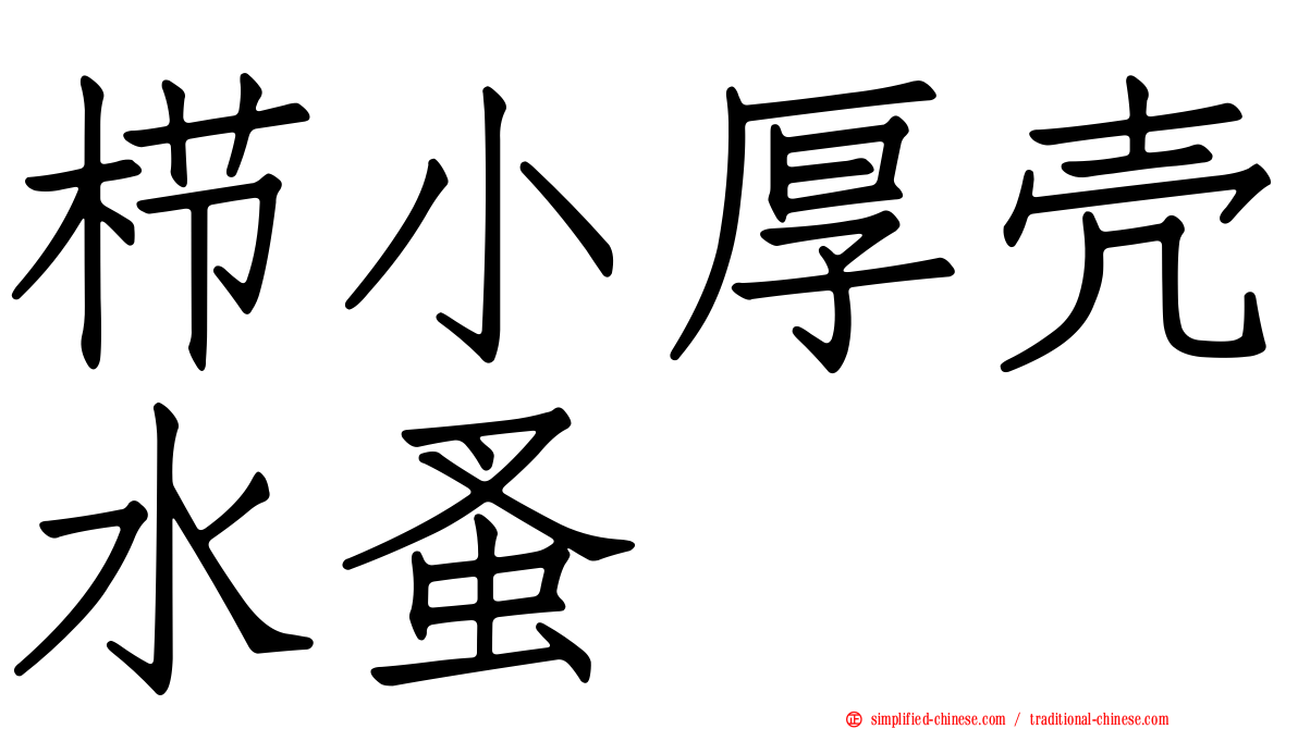 栉小厚壳水蚤