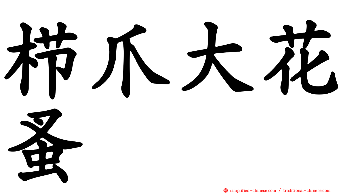 栉爪大花蚤