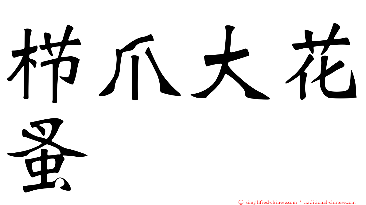 栉爪大花蚤