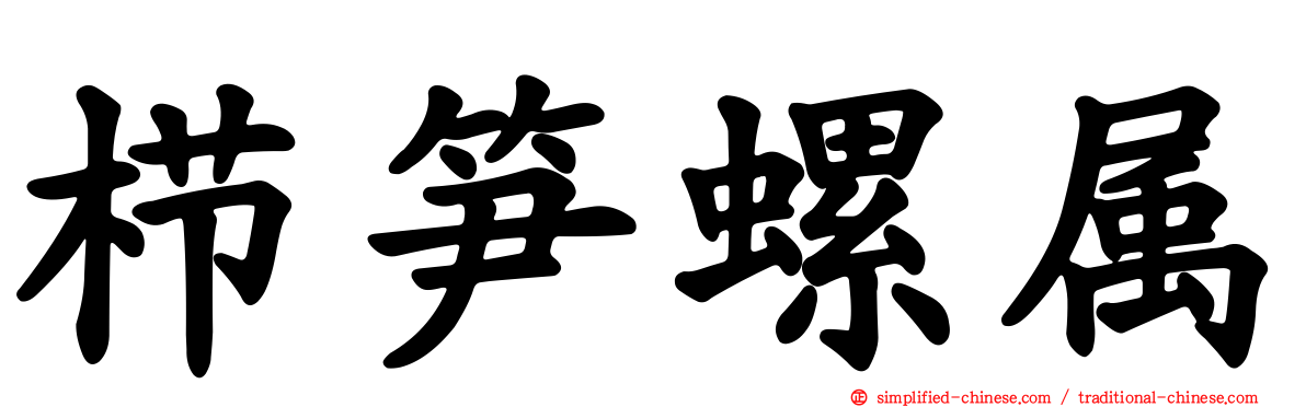 栉笋螺属