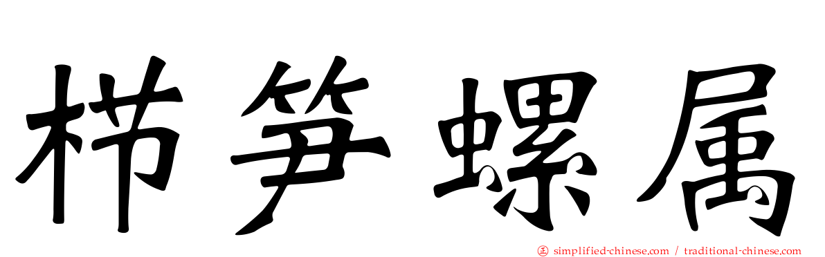 栉笋螺属
