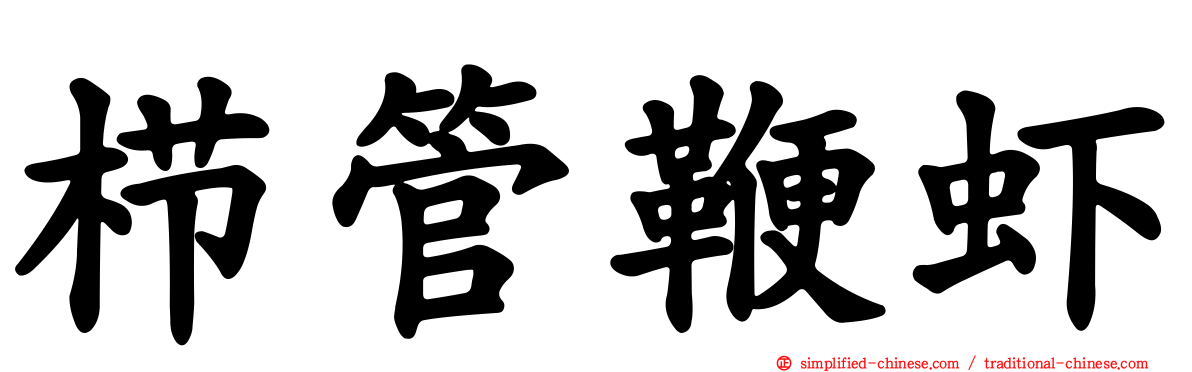 栉管鞭虾