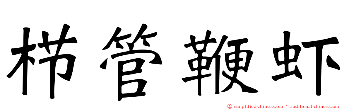 栉管鞭虾