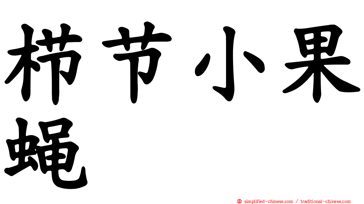 栉节小果蝇