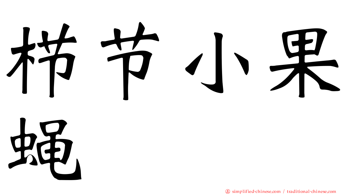 栉节小果蝇