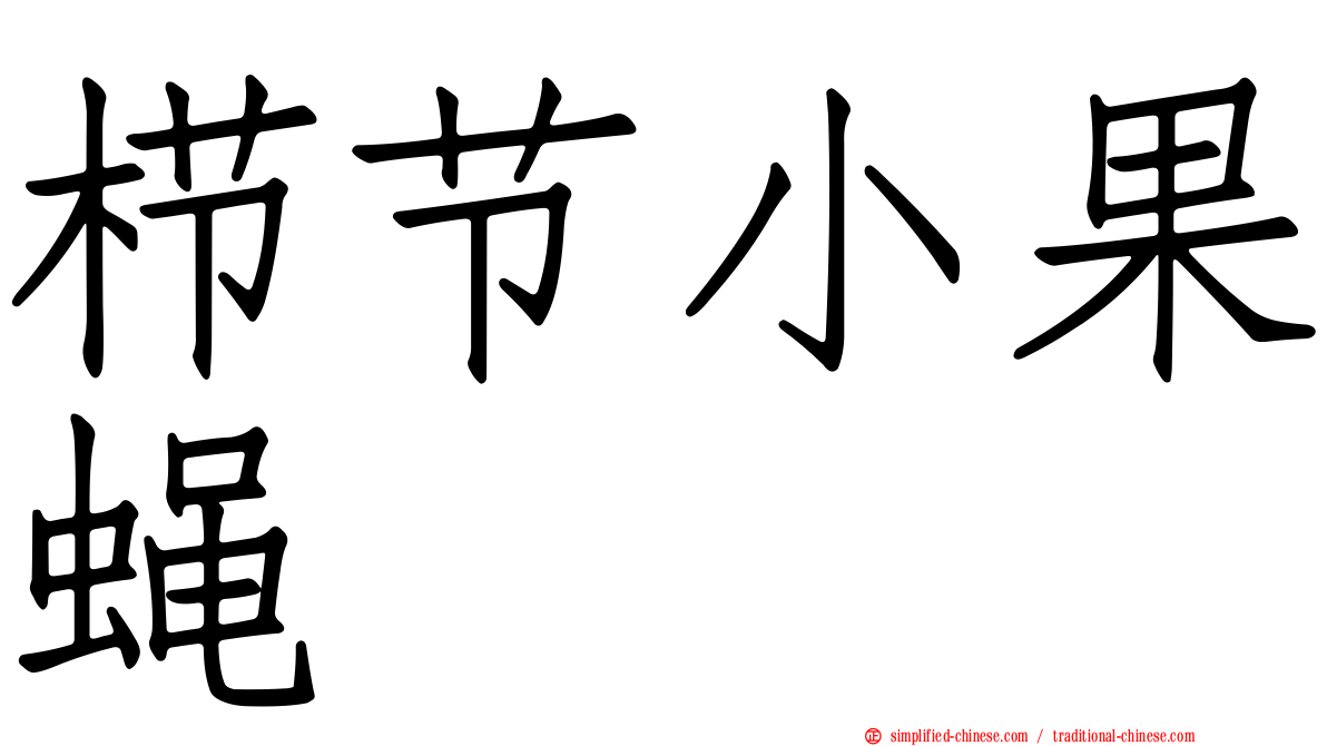 栉节小果蝇