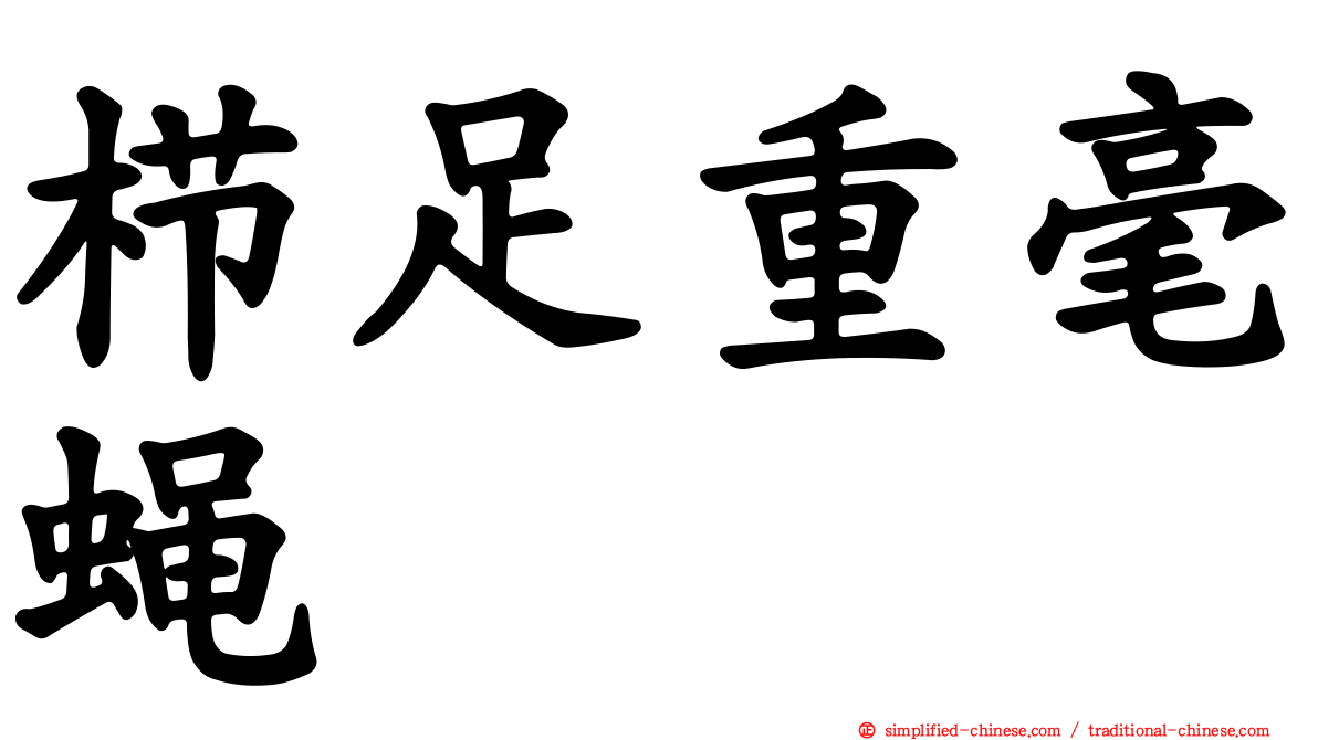 栉足重毫蝇