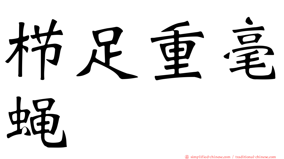 栉足重毫蝇