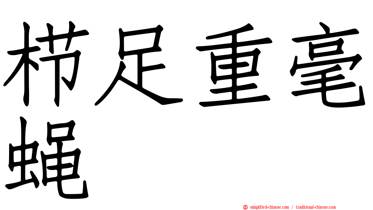 栉足重毫蝇