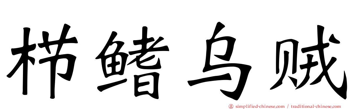 栉鳍乌贼