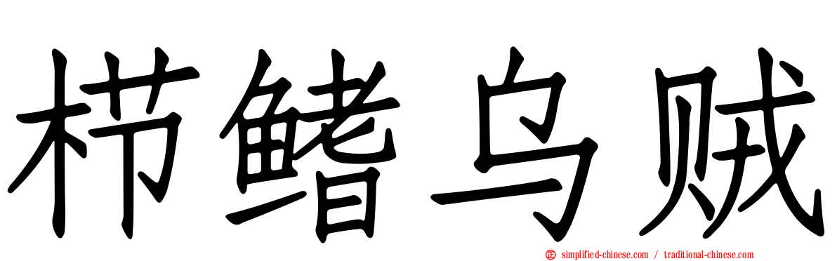 栉鳍乌贼