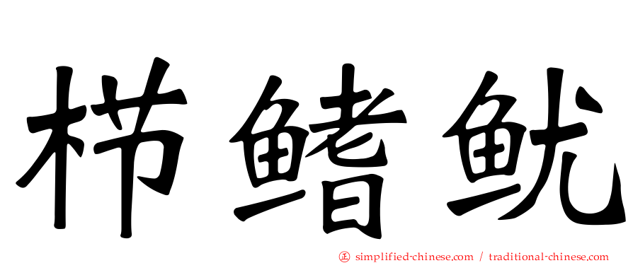 栉鳍鱿