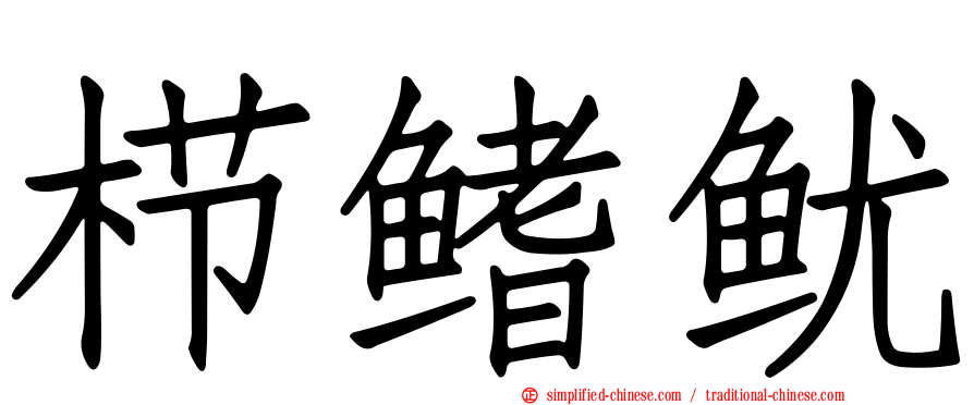 栉鳍鱿