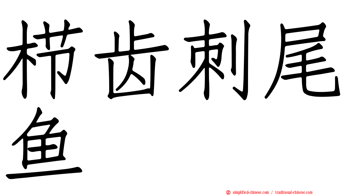 栉齿刺尾鱼