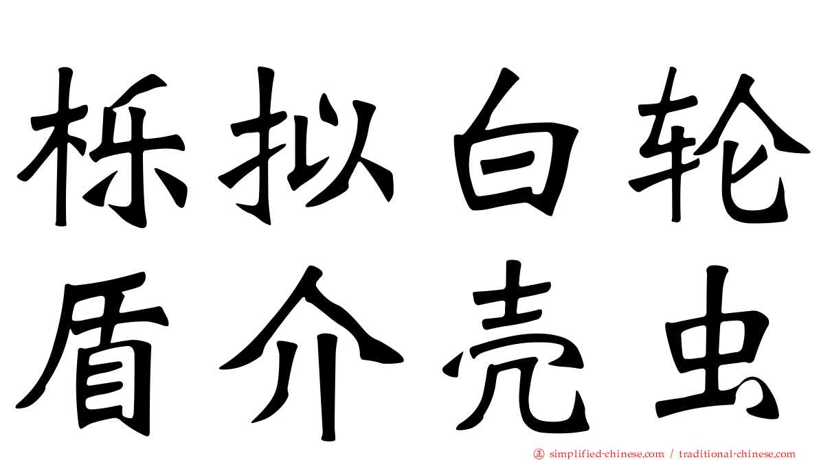 栎拟白轮盾介壳虫