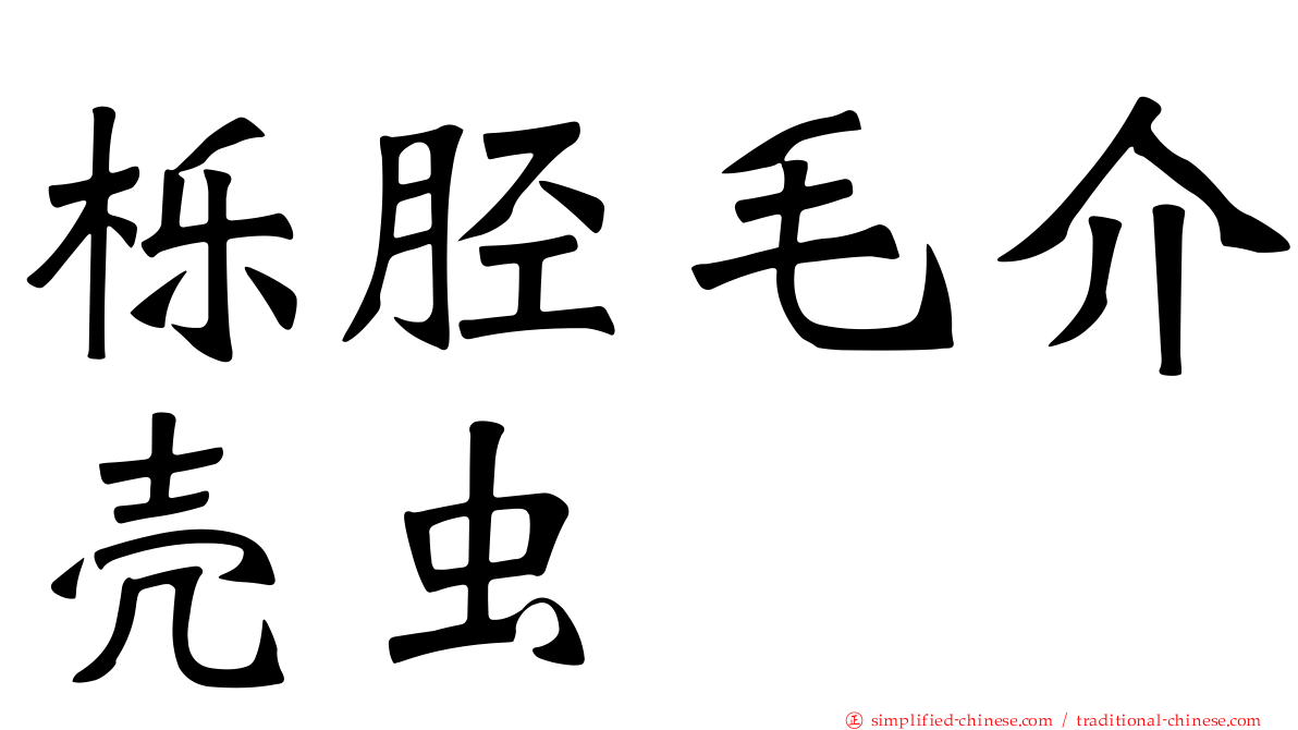 栎胫毛介壳虫