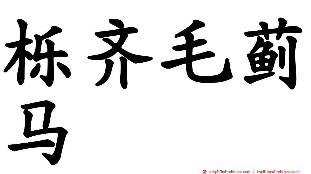 栎齐毛蓟马