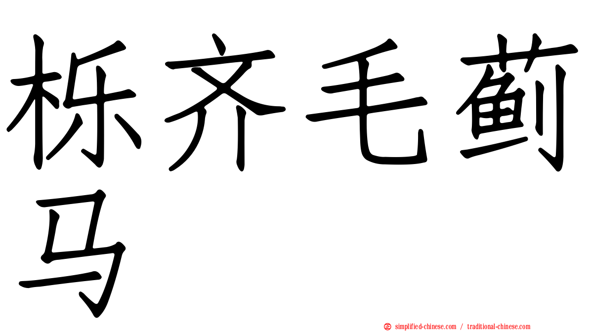 栎齐毛蓟马