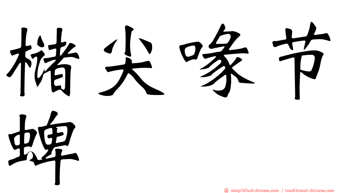槠尖喙节蜱