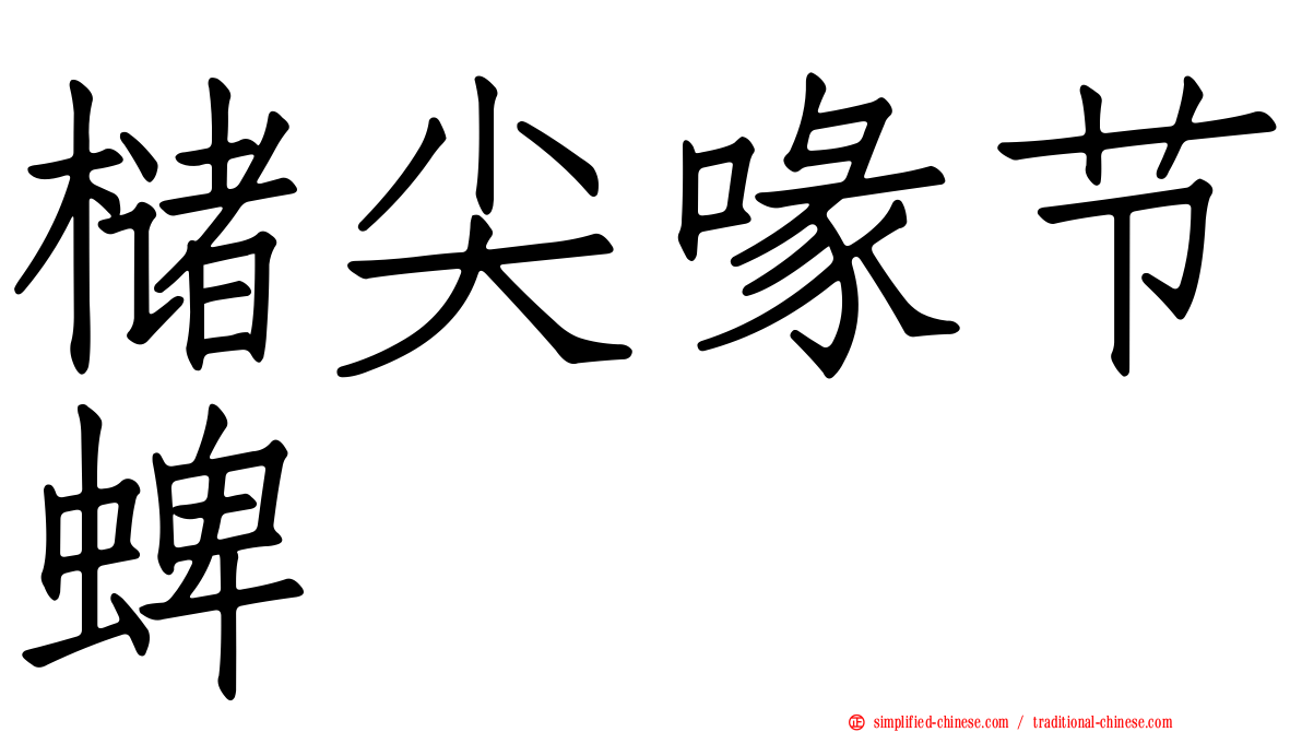 槠尖喙节蜱