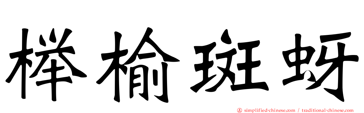 榉榆斑蚜