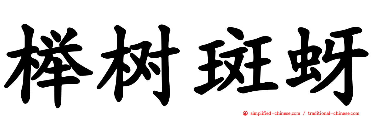 榉树斑蚜
