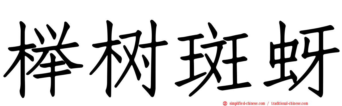 榉树斑蚜