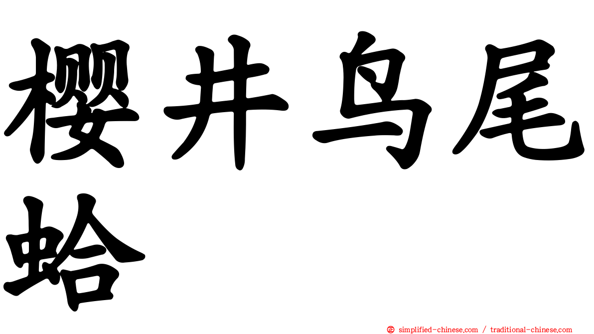 樱井鸟尾蛤