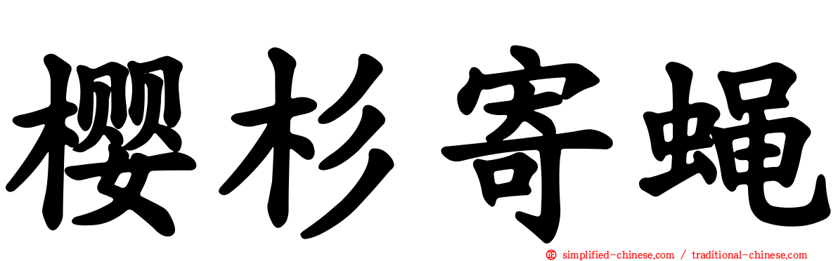 樱杉寄蝇