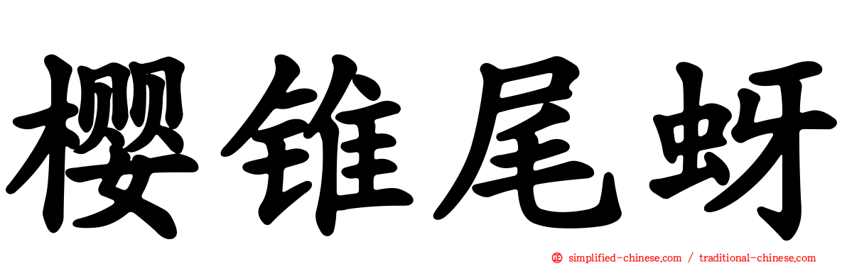 樱锥尾蚜