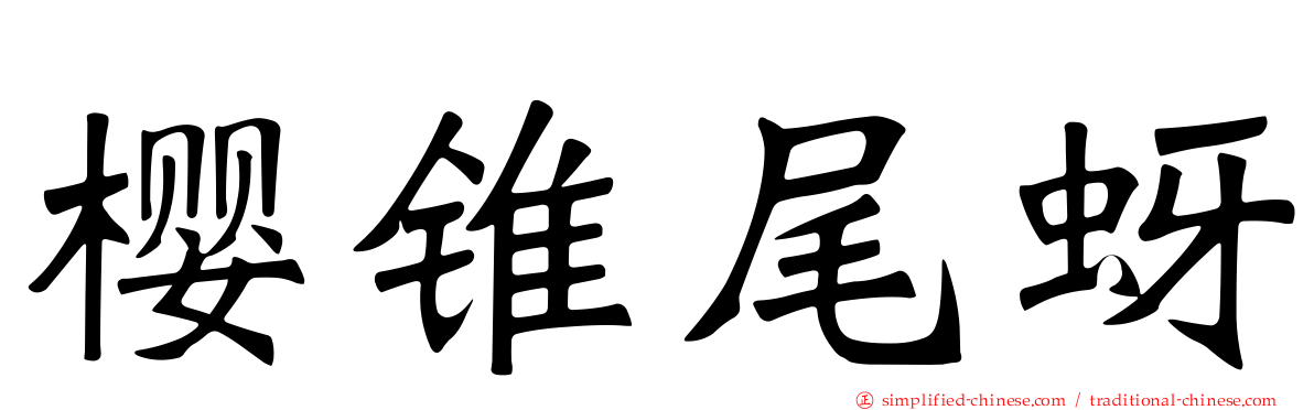 樱锥尾蚜