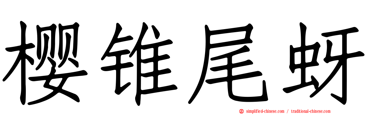 樱锥尾蚜