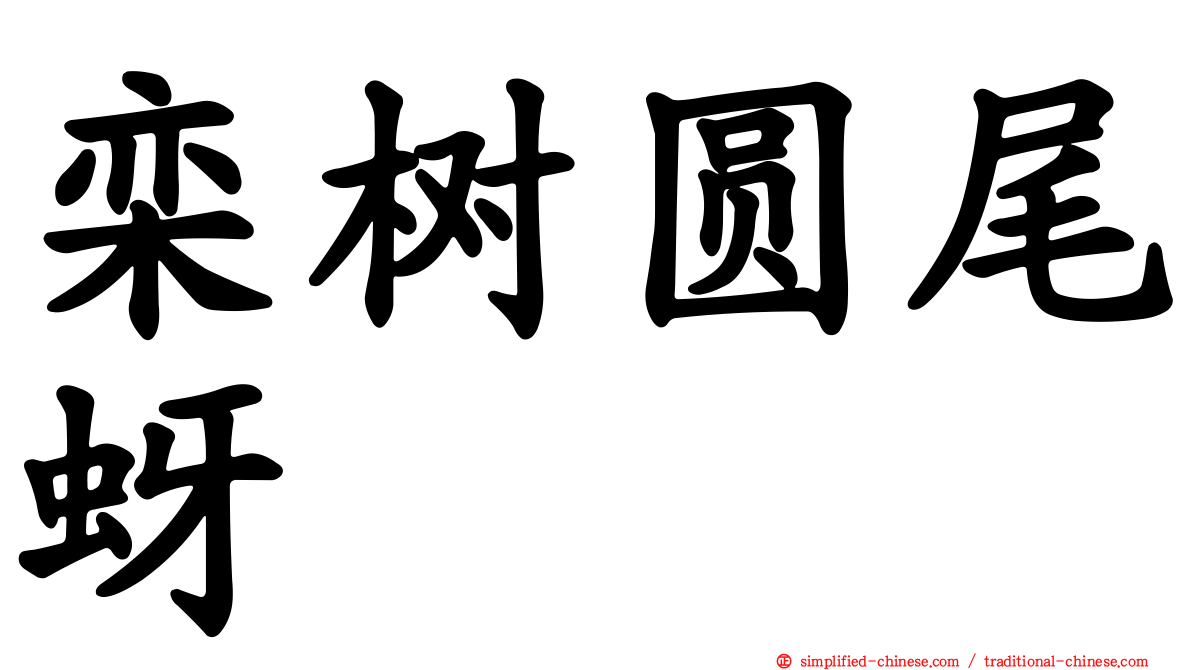 栾树圆尾蚜