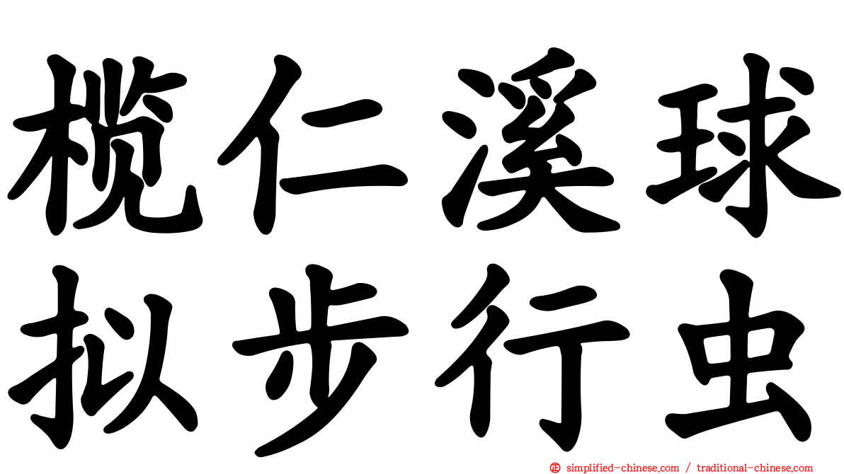 榄仁溪球拟步行虫