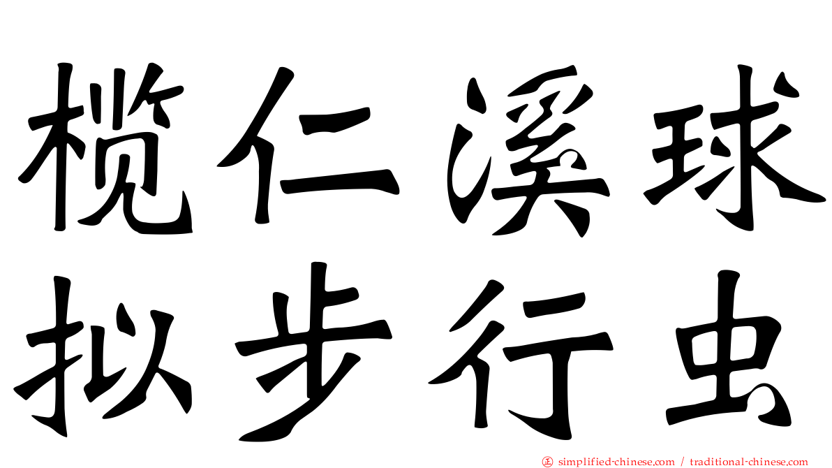 榄仁溪球拟步行虫
