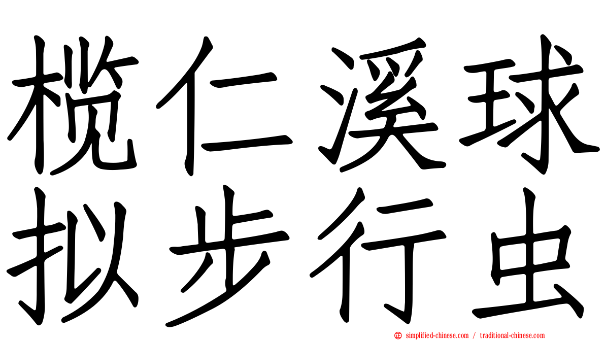 榄仁溪球拟步行虫