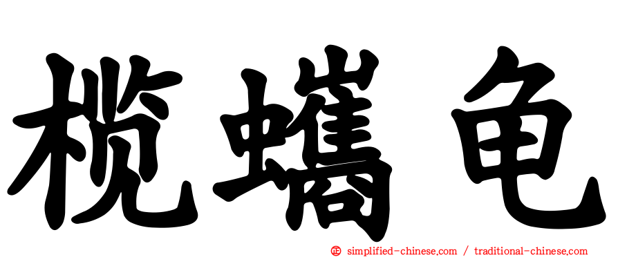 榄蠵龟