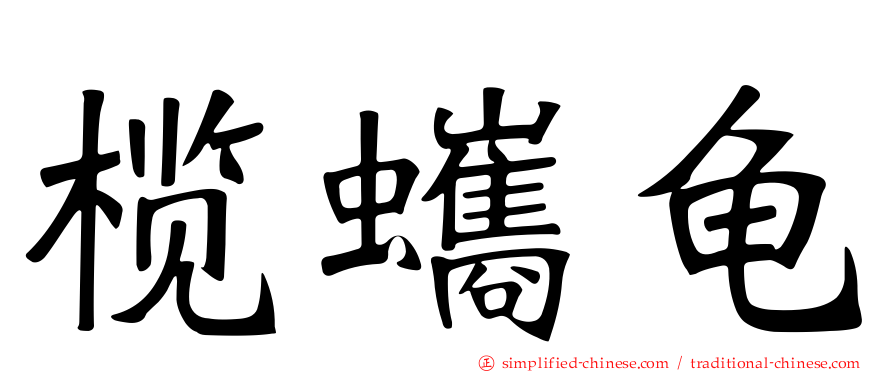 榄蠵龟
