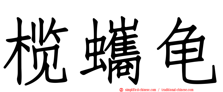 榄蠵龟