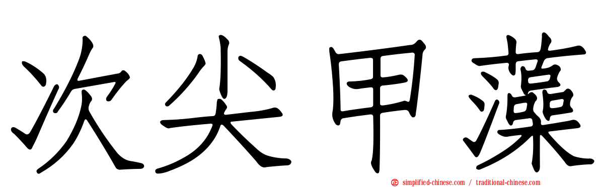 次尖甲藻